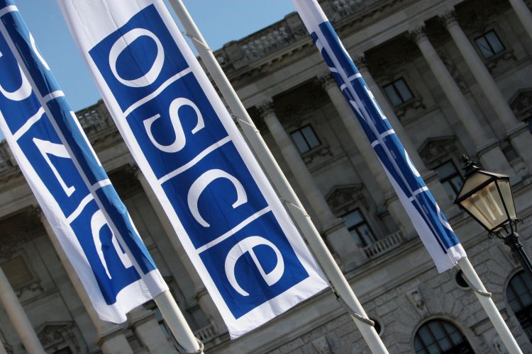 ОБСЕ утвердил бюджет на этот год