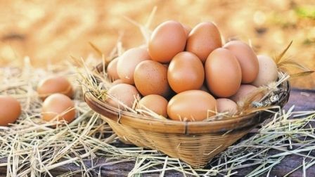 Yumurtaların içində plasmas var? Nazirlik yoxlamanın nəticəsini AÇIQLADI