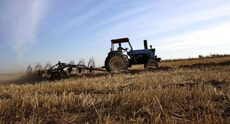 السلطات الصينية تسمح باستيراد القمح الروسي من ست مناطق
