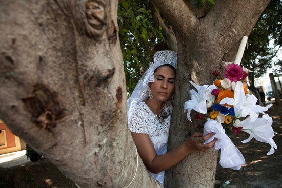 صور.. "طقوس غريبة فى المكسيك".. انطلاق حفل "الزواج من شجرة"