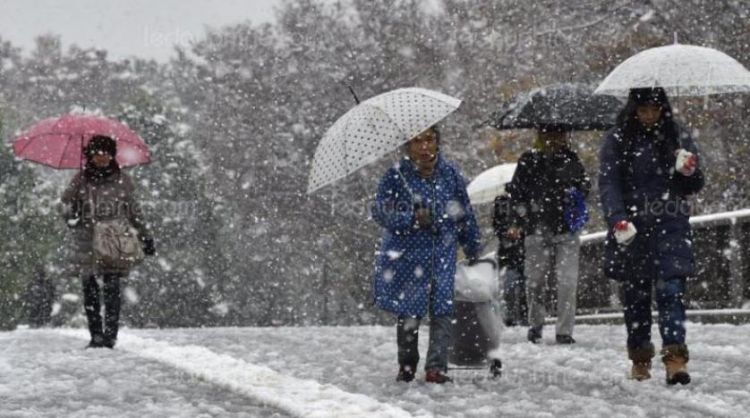 اليابان: مقتل شخص وإلغاء رحلات جوية جراء عاصفة ثلجية