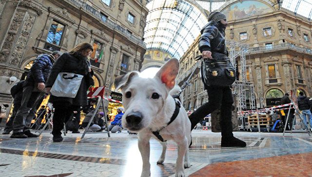 Италия отпразднует 8 Марта массовыми забастовками