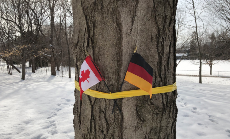 Канадцы перепутали бельгийский флаг с немецким