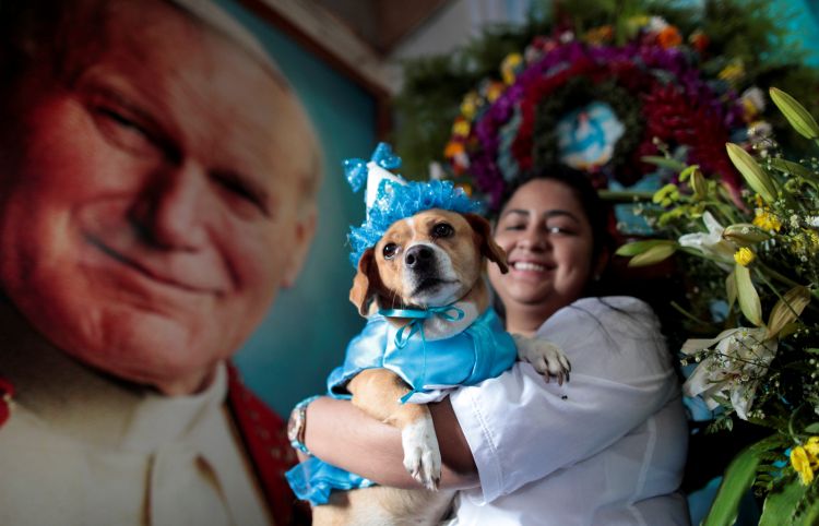 بدل وأعلام وفساتين.. كلاب نيكاراجوا تتزين لقداس "الوقاية من الأمراض"