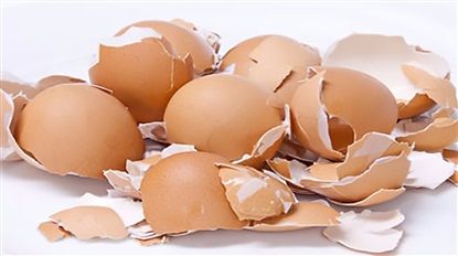 Yumurta qabıqlarını atmayın: Paltarları ağardır... FƏRQLİ İSTİFADƏ QAYDALARI