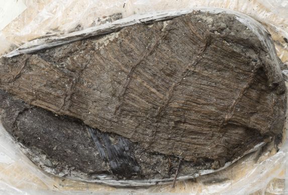 На дне озера в Швейцарии нашли ботинок, выброшенный 5 тыс. лет назад