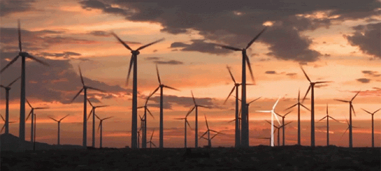 В Португалии ветровые электростанции вырабатывают больше энергии, чем потребляет вся страна