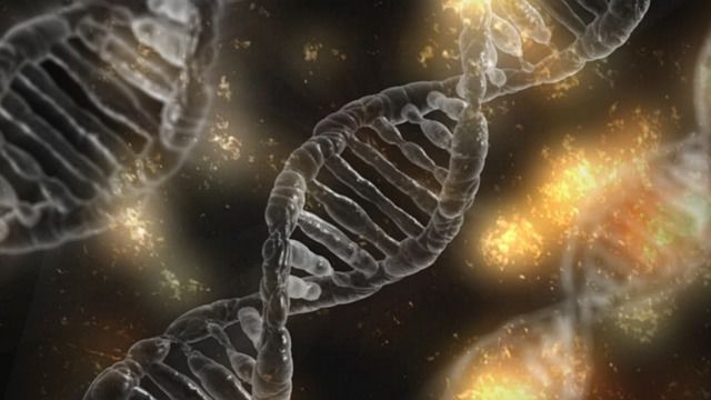 Люди эволюционируют — ученые нашли доказательства в ДНК