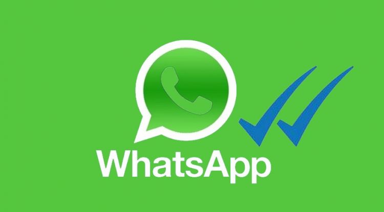 WhatsApp ввёл возрастной ценз для европейских пользователей