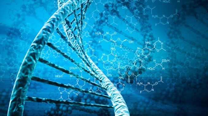 Новая форма ДНК обнаружена в клетках человека
