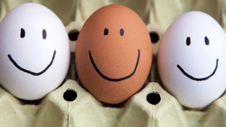 8 حقائق مذهلة عن البيض على الأغلب أنت لا تعرفها!