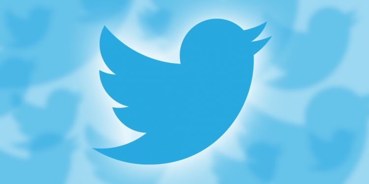 Twitter обнаружил ошибку в системе защиты