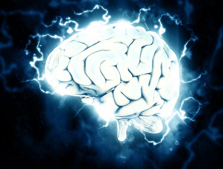Учёные научились контролировать работу головного мозга