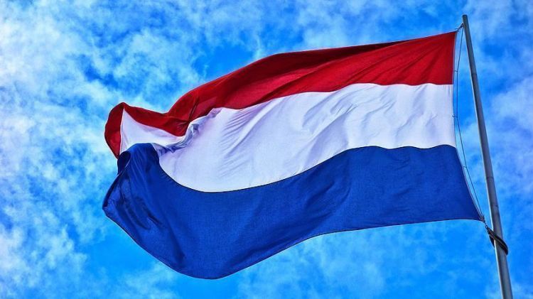 3 مصابين إثر حادث طعن في لاهاي الهولندية