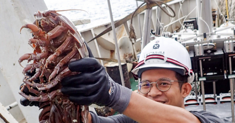 Учёные обнаружили в океане гигантского глубоководного таракана