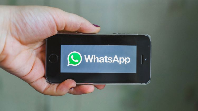 В WhatsApp обнаружен баг, позволяющий писать тем, кто вас заблокировал