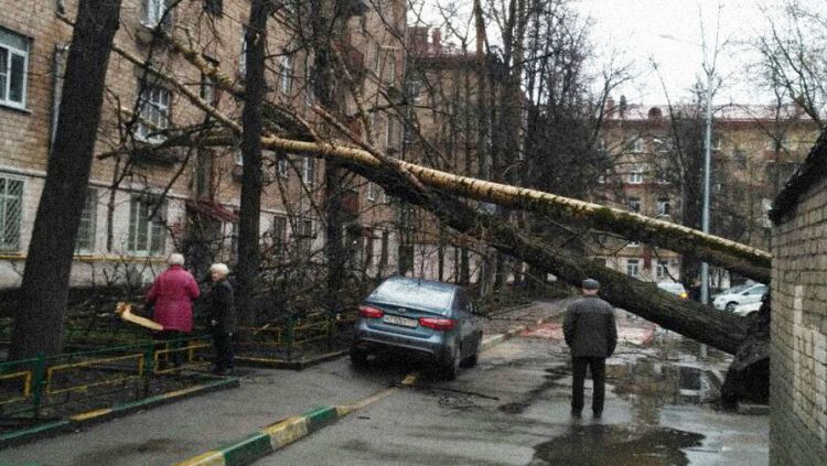 Появились первые пострадавшие от урагана в Москве