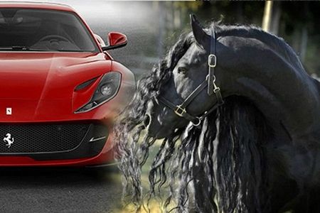 Dünyanın ən bahalı və yaraşıqlı atları Bir at 600 ədəd “Ferrari” dəyərindədir - FOTOLAR