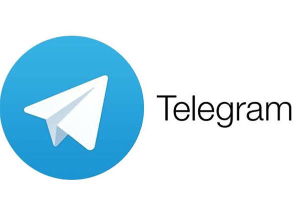 Telegram подал жалобу в ЕСПЧ на решение властей России о блокировке мессенджера