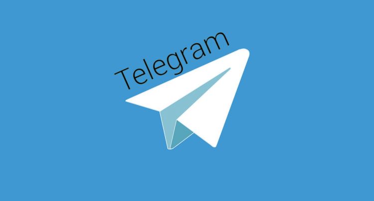 Павел Дуров зарегистрировал товарный знак Telegram в России