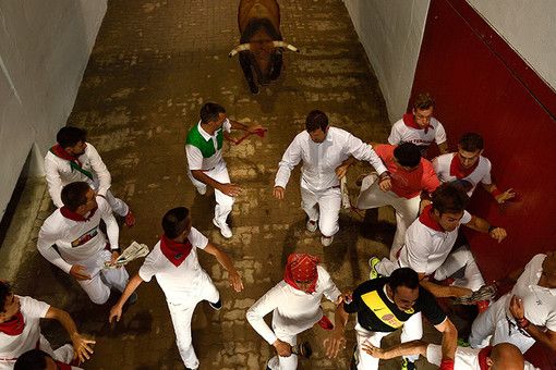 В Испании при забегах быков пострадали 28 человек