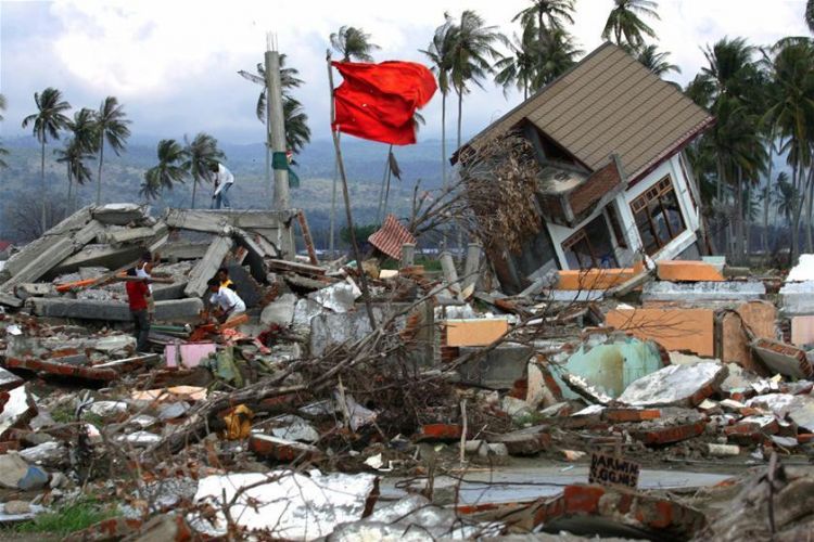 Число жертв землетрясения в Индонезии достигло 131 человека