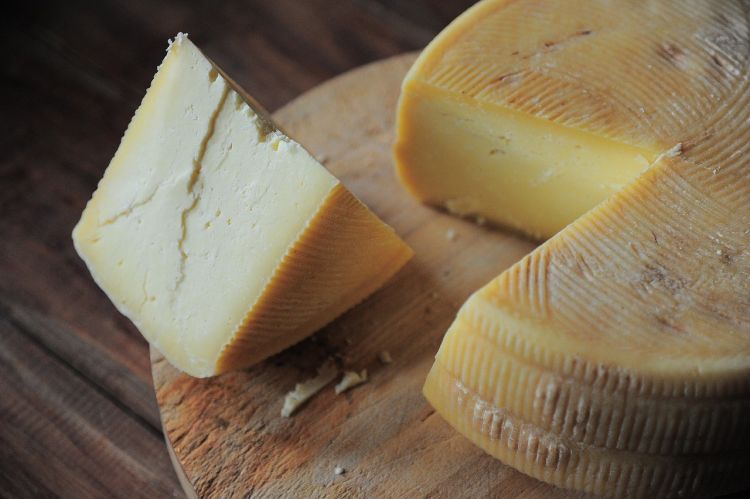 Самый старый сыр в мире оказался полон древних бактерий