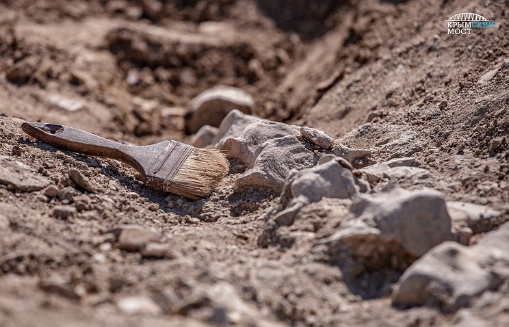 Extinct whale fossil unearthed at Crimean Bridge construction site