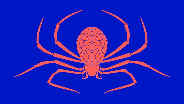 Яд пауков поможет ученым из России защитить клетки мозга от гибели