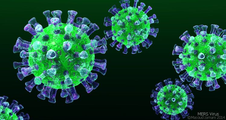 South Korean man infected by MERS virus, first case in 3 years