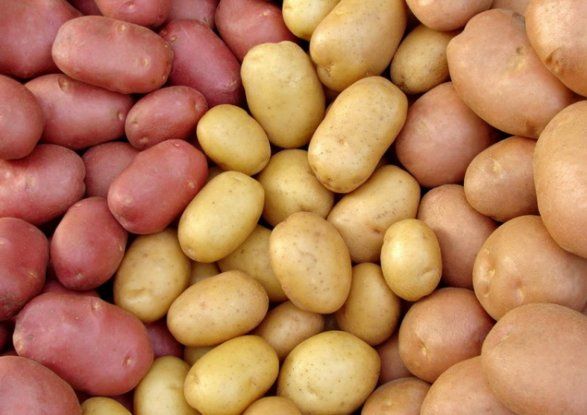 Азербайджанские таможенники задержали груз с зараженным картофелем из Ирана