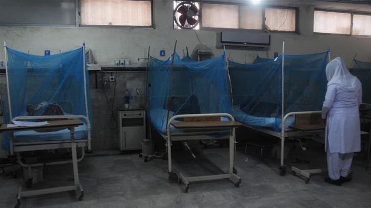 Death toll in Nigeria's cholera outbreak hits 97 UN