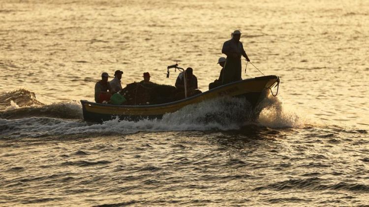 Israeli navy arrests 2 fishermen off Gaza coast
