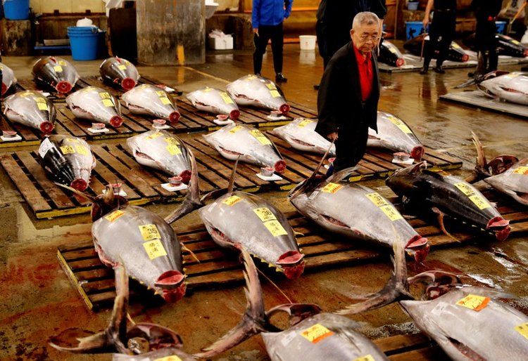 Tokyo's famed Tsukiji fishmarket holds last auction before move
