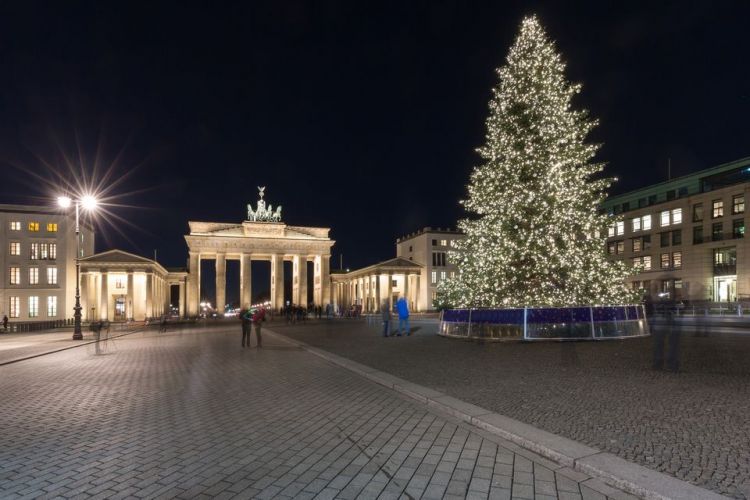 Climate change threatens Germany's Christmas trees
