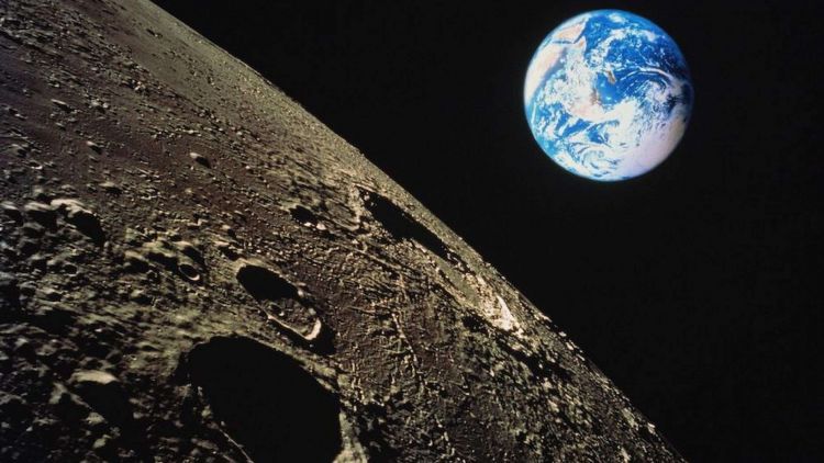 There are plants and animals on the Moon now (because of China)