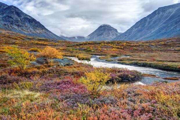 Should we say farewell to the Arctic's unique nature?