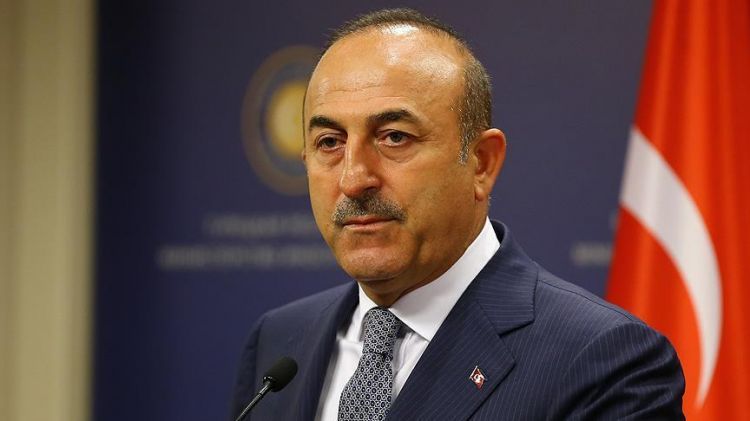 Turkish military op in Syria does not depend on US pull-out FM Cavusoglu