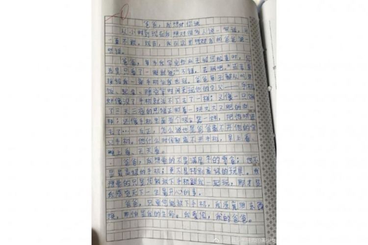Trade my life for your phone Chinese boy scores full marks for moving essay on phone addict dad
