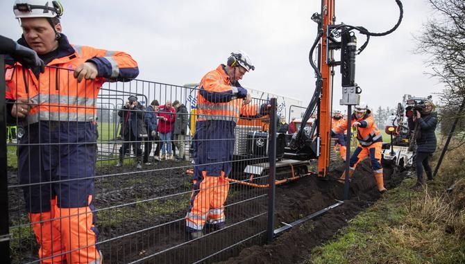 Denmark starts building anti-swine border fence
