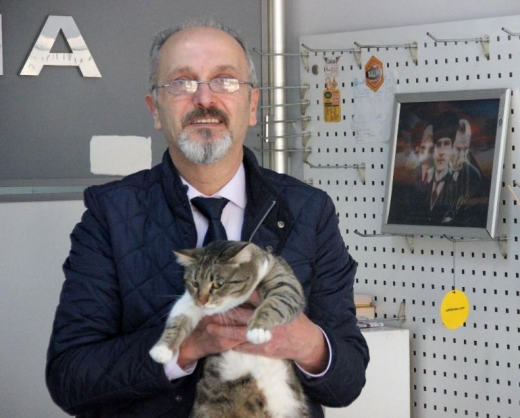 Turkish man sentenced to jail for ‘provoking’ his cat to scratch a woman