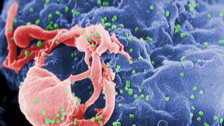 ابتكار عقار يمهد لنهاية "الإيدز" ويمنع انتقاله عن طريق الجنس