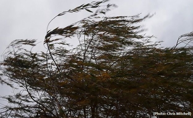 Stormy winds shake Balkans 2 injured