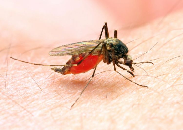 Malaria outbrakes in Madagascar
