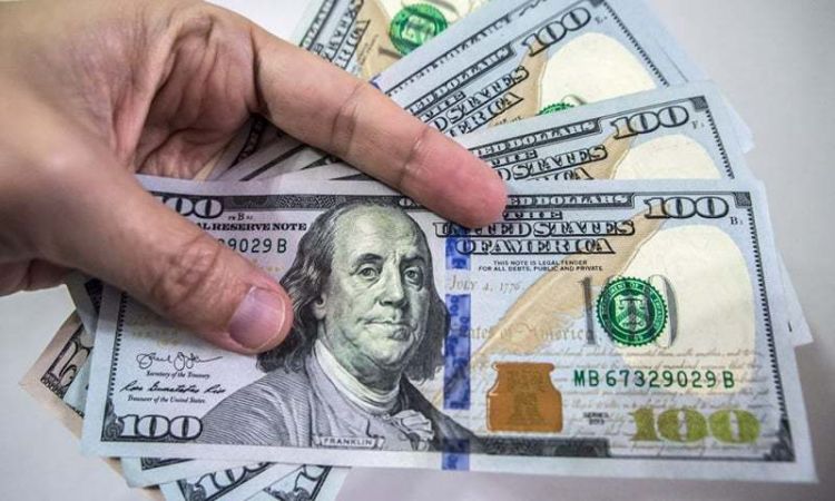 Dollar rises, euro falls in Uzbekistan