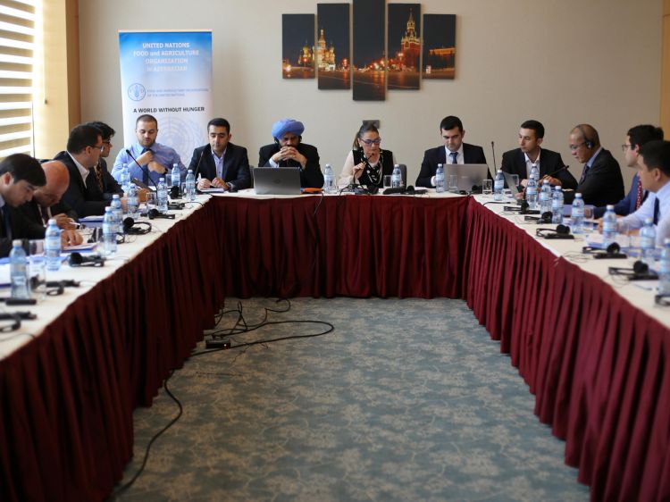 FAO holds regional planning workshop on development of national agricultural export strategies in Azerbaijan, Tajikistan, and Uzbekistan