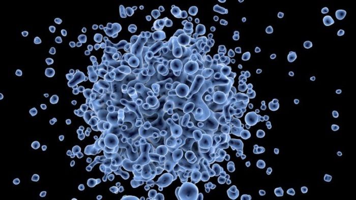 Scientists identify new virus-killing protein