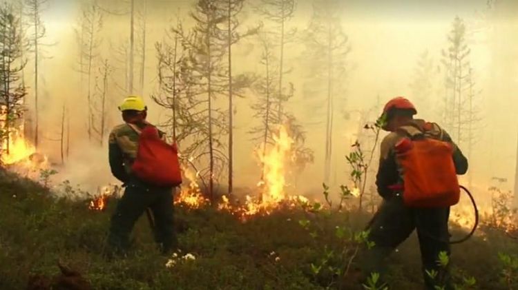 Russian air force puts out 753,000 hectares of wildfires in Siberia