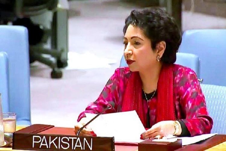 "Pakistan Kəşmir probleminin sülh yolu ilə həllinə hazırdır" Pakistanlı diplomat
