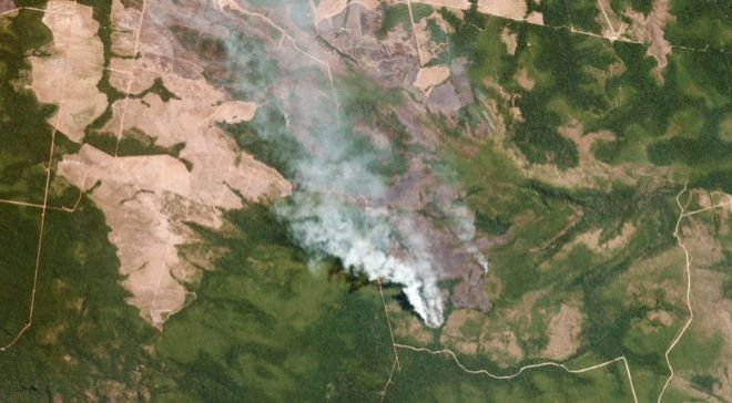 حرائق غابات الأمازون: ما الذي يمكن أن تسببه حرائق غير مسبوقة منذ عشر سنوات؟